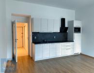 Prodej bytu 1+kk (30,2 m2), ul. Hodonínská, Praha 4 - Michle