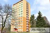 Prodej, Byty 1+1, 30 m2 - Havířov - Podlesí