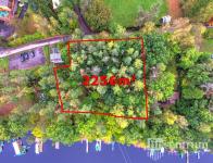 Prodej lesa 2256 m2, Slapy