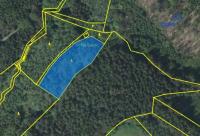 Prodej, les 4.262 m2, Konojedy