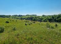 Stavební pozemek - 1049 m2, plyn, vodovod, kanalizace, elektro - Hoštice u Vodoc