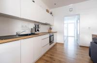 Prodej, Rodinné domy, 3 Bytové prostory, 258 m2 - Brno - Židenice