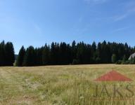 Horská Kvilda louka (trvalý tarvní porost) 8.240 m2 v centrální části NP Šumava