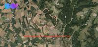 Prodej pole, 61919 m2, Plinkout
