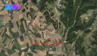 Prodej pole, 35589 m2, Plinkout