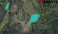 Prodej pozemku - lesní plocha 12390m2 - Střítež u Třebíče