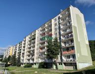 Prodej, byt 4+1, DV, Litvínov - Janov, ul. Hamerská