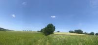 Prodej, Zemědělská půda, 122.973 m2 - Okrouhlá Radouň