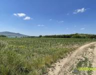 Prodej stavebního pozemku o ploše 17 899 m2 Nové Mlýny