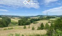Prodej, trvalý travní porost, 15824 m2, Odry, Tošovice