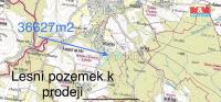 Prodej lesního pozemku Černovice